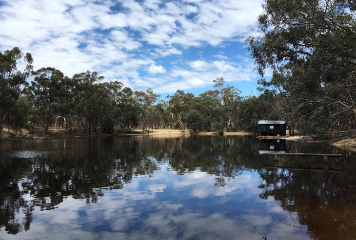 Dryandra Woodland National Park, Australia